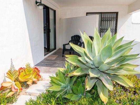 Paternoster Roosmarijn Rooms - Inverter Екстериор снимка